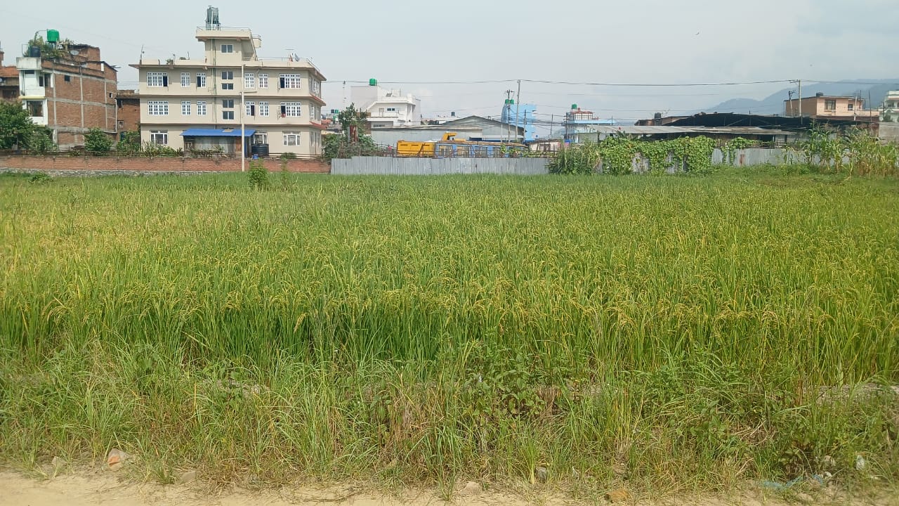 Picture of Mahalaxmi Municipality, Bagmati